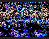 Sea creatures de mer