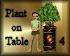 [my]Plant on Table 4