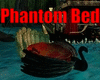 Phantom Bed
