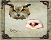 Owl Heads Fillers