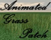 Animated Grass Patch