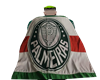 Palmeiras Bandeira