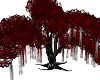 Lovers Wishing Tree