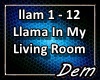 !D! Llama in My Room