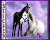 (1NA) Horses Sticker