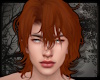 + Wet Curls - ginger