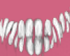 Pink Teddy avi