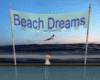 Beach Dreams  Banner