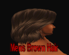 Mens brown Hair