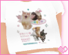 cats tshirt