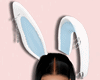 Bunny Blue Ears