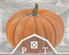 Mini Pumpkin Decor V3