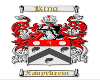 King Xavy COA Sticker