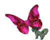 Animated Butterflies4