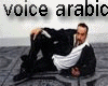 voice arabic