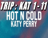 Katy P. Hot N Cold REMIX