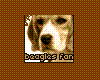 Beagles Fan