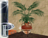 Tex-Mex plant vase