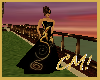 CM! Gold Ballroom gown