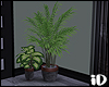 iD: Camo Plants 2