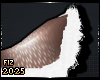 . Adora | Tail