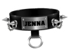 Jenna's collar