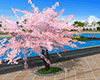 beach town - pink tree
