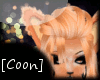 [Coon]Orng Cream Hair