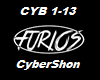 Cybershon