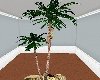 [KK]3P Palm Tree