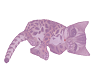 Chas Kitten: Pinky