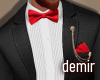 [D] Tuxedo formal suit