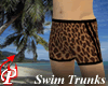 PB Cheetah Swim Trunks