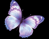 Purple Butterfly Cut Out