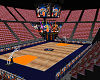 Knicks Basketball Court