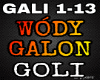 Goli-Wódy galon