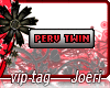j| Perv Twin