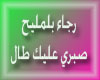 Rajaa_Balmaleeh_Sabry_3a