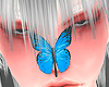 Butterfly Blue F