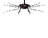 Epic Spider!
