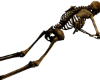 HALLOWEEN SKULL I