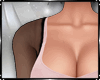 Charlotte Bundle