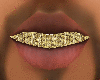 215> Gold Grill 