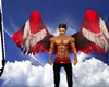 newangels wings