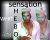 HEBO SENSATION WHITE