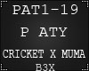 Pa TY -CRICKET x MUMA