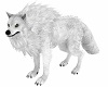 Pet Wolf