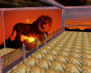 lion room
