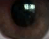 BROWN EYES ASTERI
