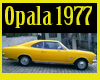 Quadro Opala 1977 DS